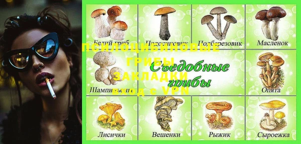 кокс Нягань
