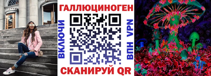 Псилоцибиновые грибы Psilocybe  где купить наркоту  Полярный 